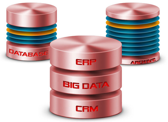 ERP Big Data CRM Database Archive